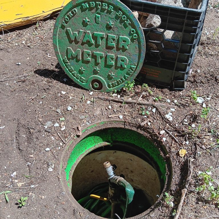 New Haven Gardeners Seek City Help