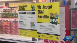 New Mexico Snap Program Audit Finds Errors