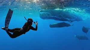 New Movie Whalefall Explores Fears Of Ocean