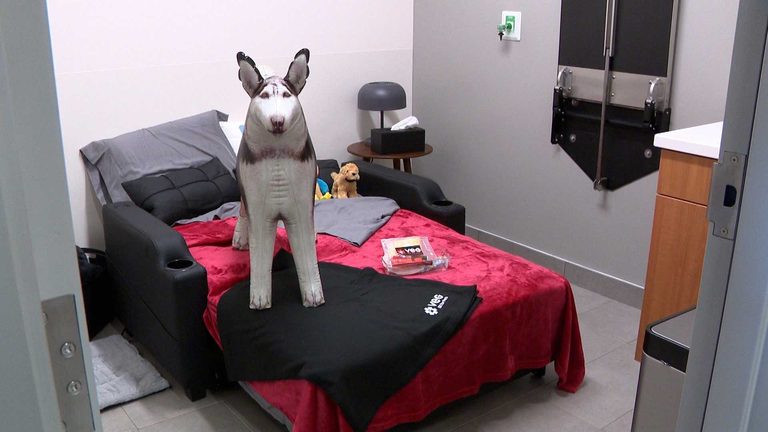 New St Matthews Animal Hospital