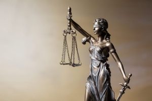 Nfib Protects Small Business Rights