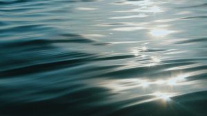 Nh Man Dies In Apparent Drowning At Wilson Pond