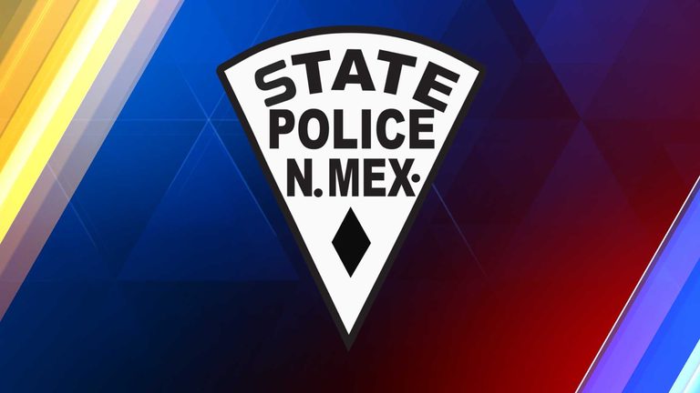 Nmsp Investigates Police Shooting