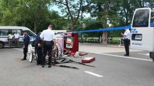 Nyc Horse Drawn Carriage Rides Halted After Teen S Death