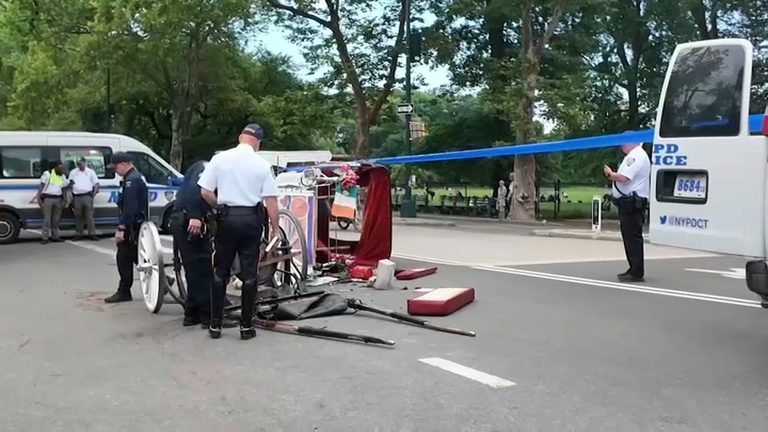 Nyc Horse Drawn Carriage Rides Halted After Teen S Death