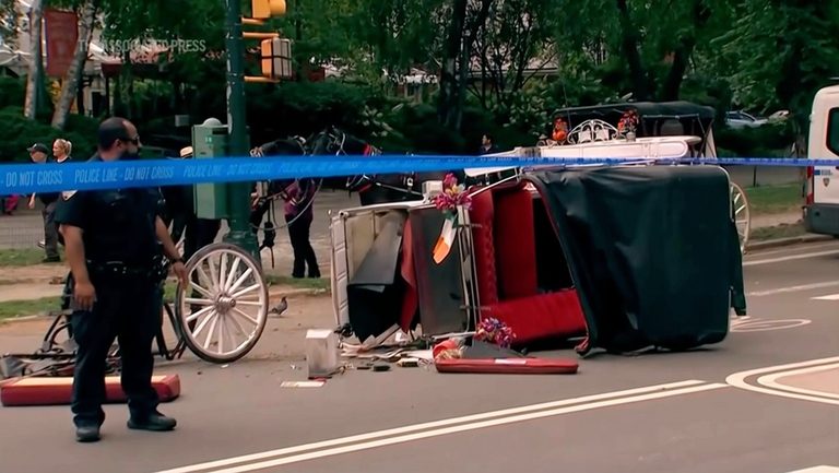 Nyc Horse Drawn Carriage Rides Halted
