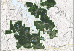 Ohio To Vote On Fracking In Public Lands