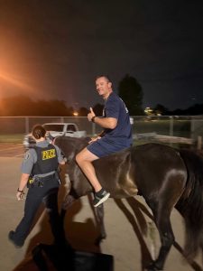 Okc Police Fire Crews Capture Loose Horse