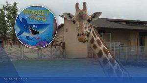 Okc Zoo Partners With Libraries For Read For Adventure