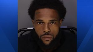 Paddock Hills Chase Suspect Charged