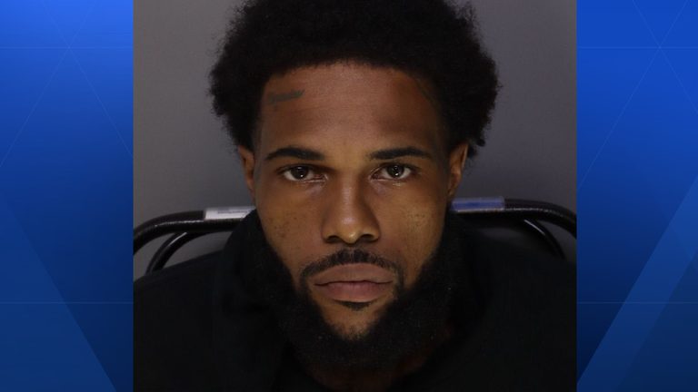 Paddock Hills Chase Suspect Charged