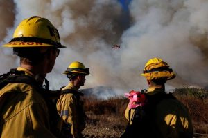 Palisades Fire Trial