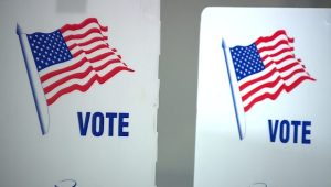 Palm Beach County Voters See Election Process