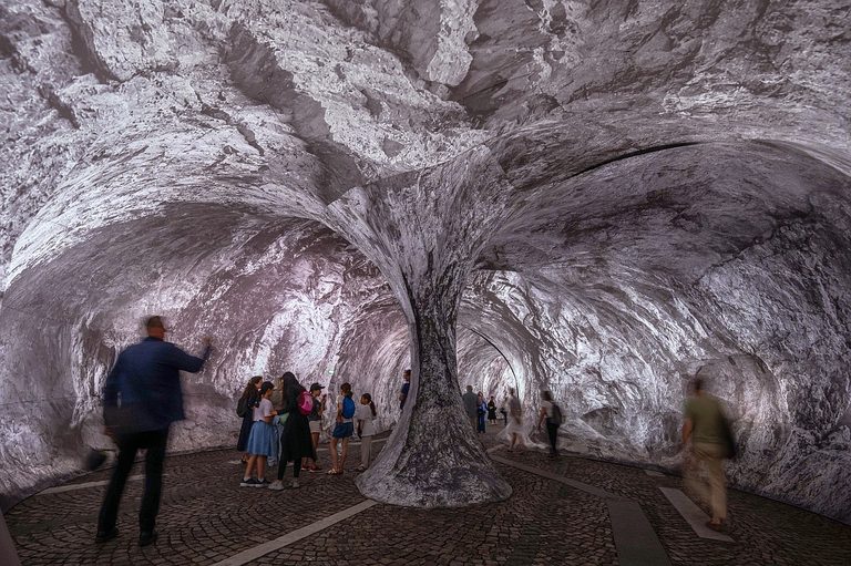 Paris Bridge Transformed