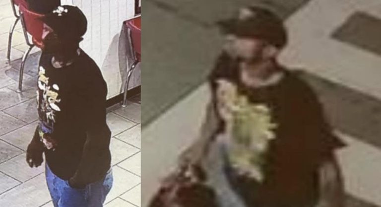 Pasco Deputies Search For Car Thief
