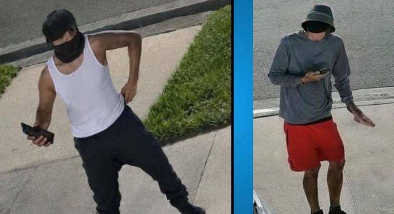 Pasco Deputies Seek Help In Wesley Chapel Investigation