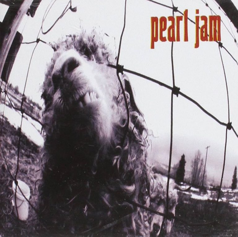 Pearl Jam S Vs Album