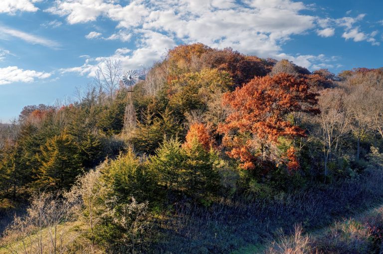 Windmill Hill Park — Desoto