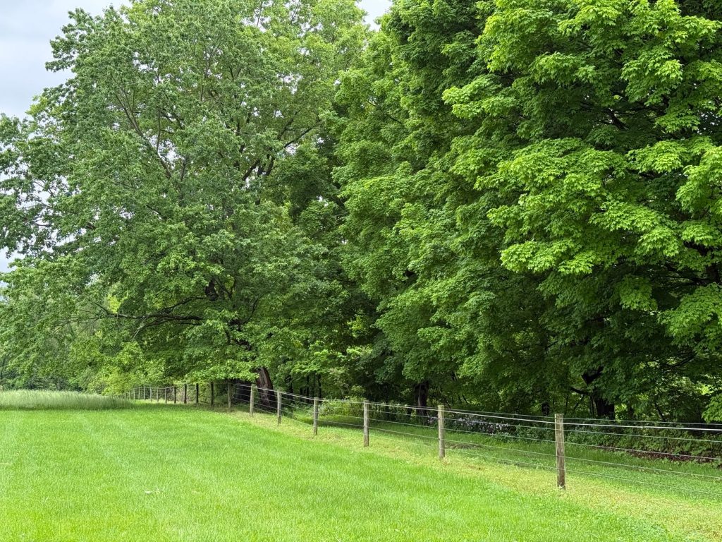 Salomon Farm Park — Fort Wayne