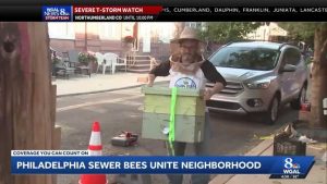 Philadelphia Neighborhood Unites Over Bees In Sewer
