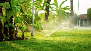 Pinellas Extends Water Restrictions