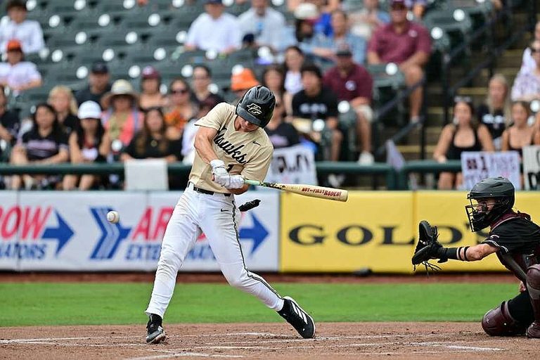Pleasant Grove Hawks Earn Thsbca Recognition