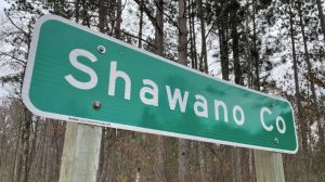 Rabies Found In Shawano County Bat