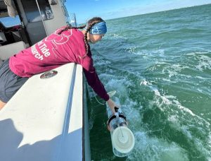 Red Tide Vanishes From Most Florida Coasts