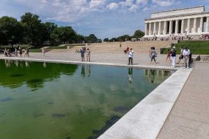 Reflecting Pool Turns Green Again