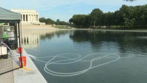 Reflecting Pool Vandalism Arrests