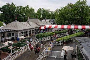 Renegade Poised As Favorite In Belmont Stakes At Saratoga