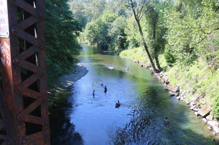 Renton Water Activities
