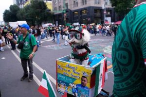 Rescue Dog Steals Hearts At World Cup
