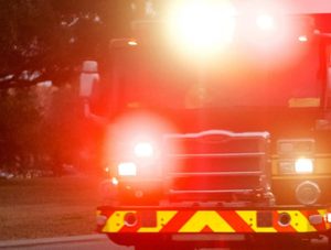 Rescue Teams Navigate Dense Brush To Reach Downed Cessna In Kissimmee