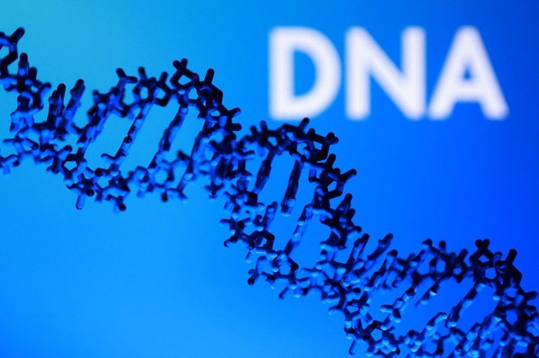 Roche Launches Gene Sequencer