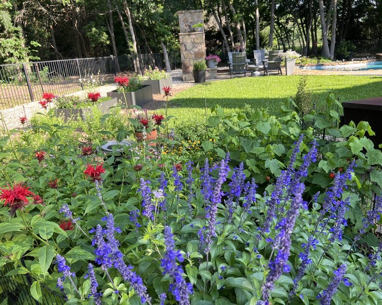 Rockwall County Master Gardeners Share Water Saving Tips