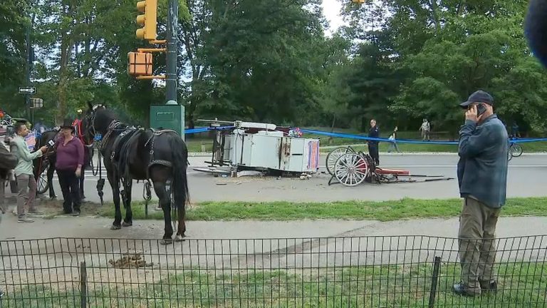 Runaway Horse Carriage Crash In Nyc S Central Park