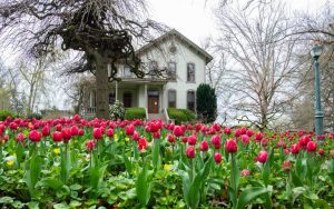 Salem Galleries Showcase Local Art