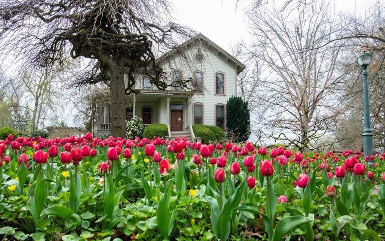 Salem Galleries Showcase Local Art