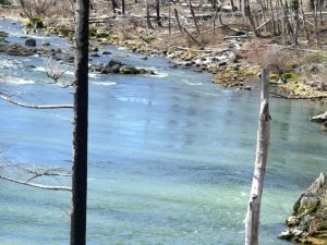 Salem S Drinking Water Supply Unaffected By Drought