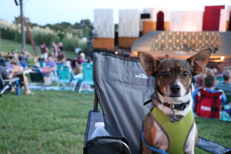 Shakespeare In The Park Returns To Dallas