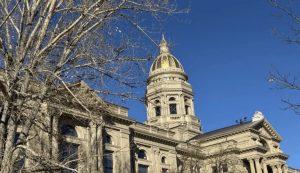 Shannon Brennan To Run For House Rep