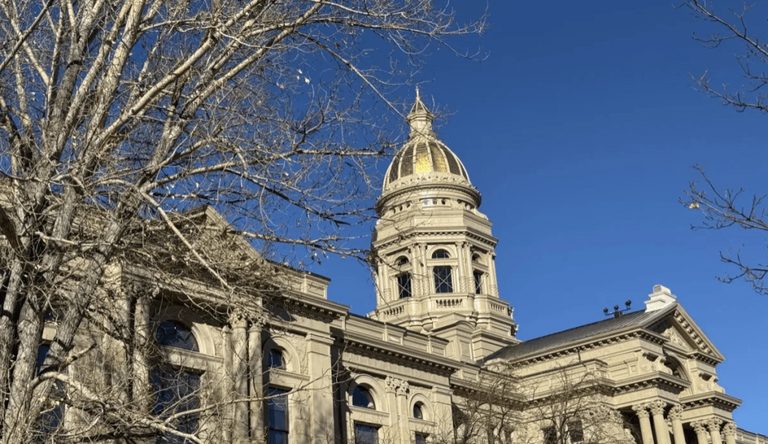 Shannon Brennan To Run For House Rep