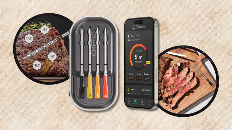 Smart Meat Thermometer Trending