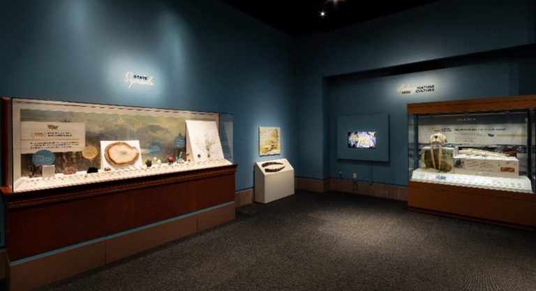 Smithsonian Unveils 250Th Anniversary Exhibit