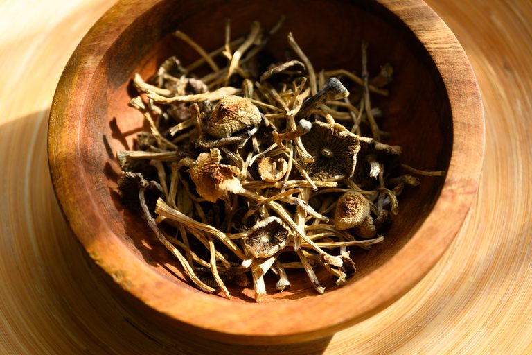 Socal Father Admits To Giving Hallucinogenic Mushrooms To Sons