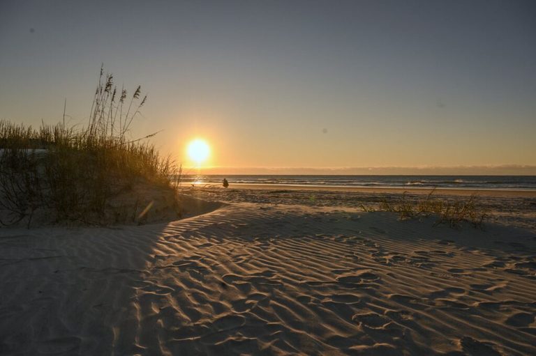 South Carolina Celebrates America S 250Th Anniversary
