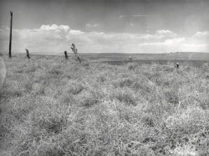 South Dakota Farmers Face Worst Drought Since Dust Bowl