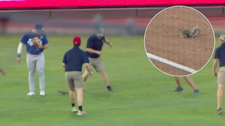 Squirrel Delays Bats Game