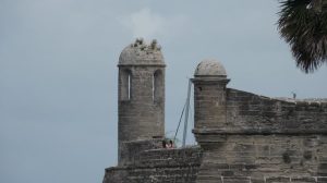 St Augustine Celebrates 250Th Anniversary